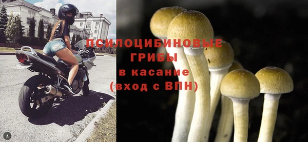 a pvp Армянск