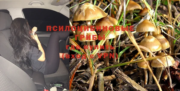мескалин Арсеньев